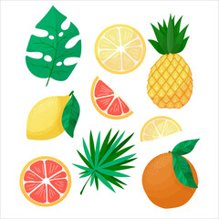 Summer fruits set. Watermelon, orange, pineapple and lemon in cartoon style. Vector illustration isolated on white background.