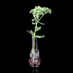 antique crystal vase on a black isolated background with a bouquet of roses. antique glass vase with a bouquet of flowers. floristics