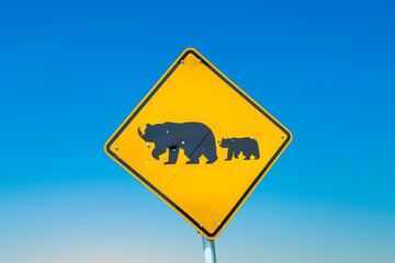 yellow bear crossing warning sign