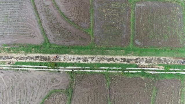 aerial view biking in the rice field of beautiful indonesia
