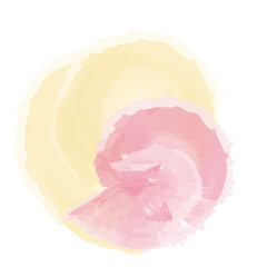 Watercolor Swirl Brushstroke 