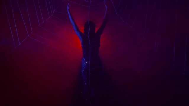 Dark silhouette woman dancer moves seductively, fantasy dance. Lady Spider Queen sexy body, hands raised. Concept performance show Halloween party. Background studio scenery Horor huge web. Neon light