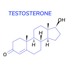 Testosterone chemical formula or molecular structure, male sex hormone - obrazy, fototapety, plakaty