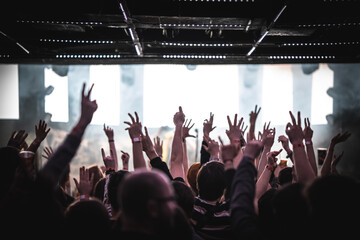 cheering crowd concert event