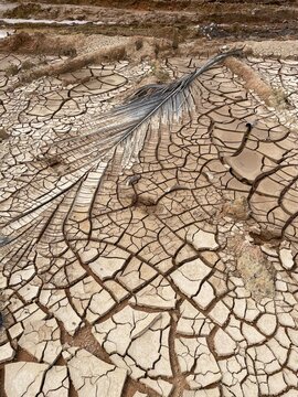 dry earth