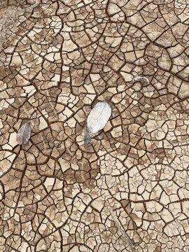dry earth