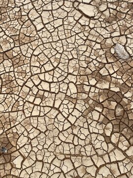texture of the ground