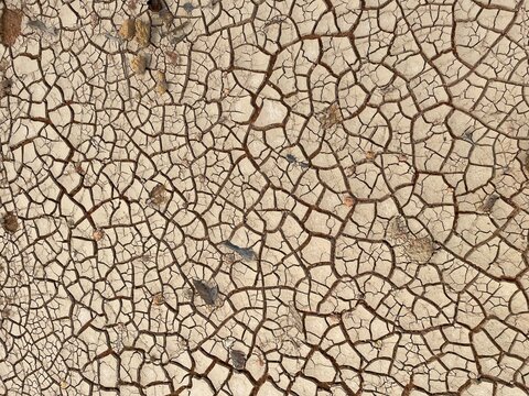 Cracked texture of the ground