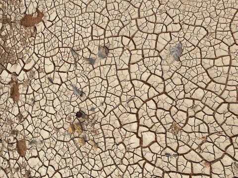 Cracked soil in the hot sun