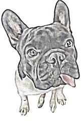 Bullies W Hoodies

Artwork