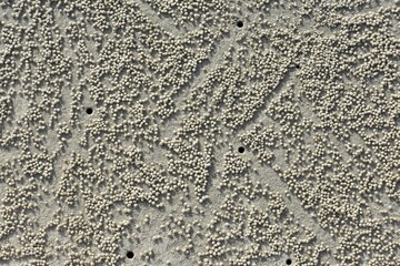 Pretty patterns on the sand at the beach