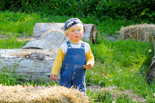 beautiful blond young boy with blue eyes and blonde hair  in the countryside with a sandwich in his hand and a blank expression .