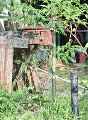 Strange toaster oven letter box in front of a house garden.