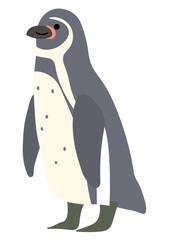 フンボルトペンギンのイラスト