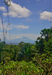 landscape tropical jungle and volcano in Bali