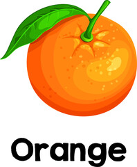 orange fantastic fresh fruit