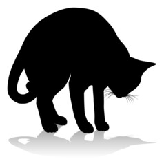 Silhouette Cat Pet Animal