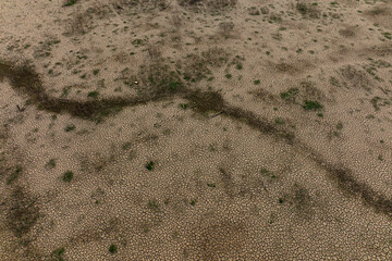 Animal foot print on dry cracked earth near drying river. Climate change and Drought impact during summer at Thailand.