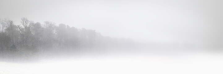 Foggy island forest on Cape Cod in springtime. Panoramic seascape with rising steams over the water.