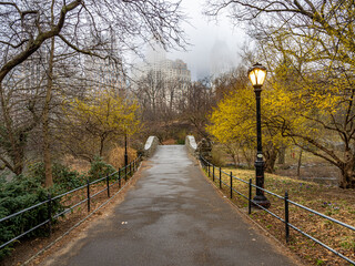 Fototapeta na wymiar Gapstow Bridge in Central Park
