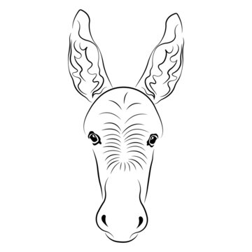 The silhouette of the muzzle of a donkey is drawn in black with different lines. The design is suitable for animal logos, tattoos, decor, paintings, pet shops, t-shirt printing and apparel. Vector