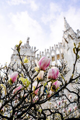 Magnolia piazza duomo milano