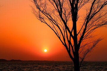 霞ヶ浦の夕焼け