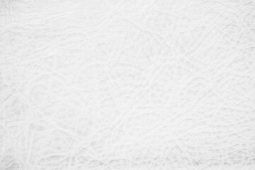 White genuine leather texture background. Empty luxury classic textures for decoration.