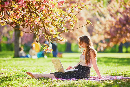 Beautiful young girl working on her laptop in park during cherry blossom season