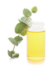 Bottle of natural eucalyptus essential oil on white background