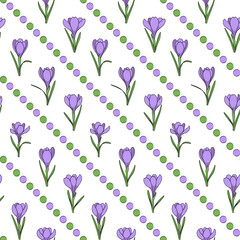Seamless pattern with purple crocus flowers, saffron. Vector background.