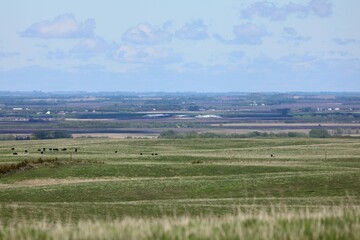 landscape with fields