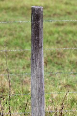 Fototapeta premium barbed wire fence