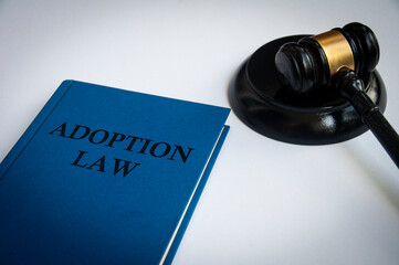 Side view of Adoption law book with gavel on white background.