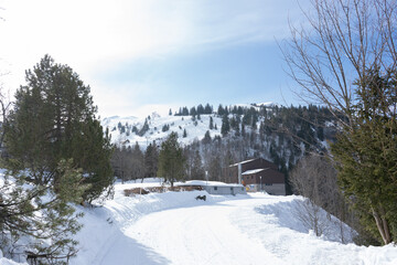 Flumserberg, Skiers, snowboarders, carvers, families all enjoy their time on the ski runs of winter...