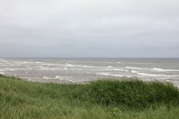 waves on the beach