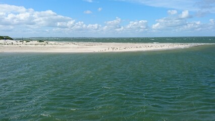 Northern tip of the North Sea island of Amrum with birds on the beach - Amrum Odde nature reserve -- Nordspitze der Nordseeinsel Amrum mit V&ouml;geln am Strand - Naturschutzgebiet Amrum Odde