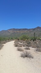 sand dunes in the desert