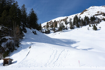 Flumserberg, Skiers, snowboarders, carvers, families all enjoy their time on the ski runs of winter...