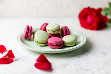 Pink and green macaroons on green plate and red rose on white background. Traditional French sweet dessert.
