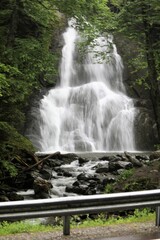 Obraz premium waterfall in the woods