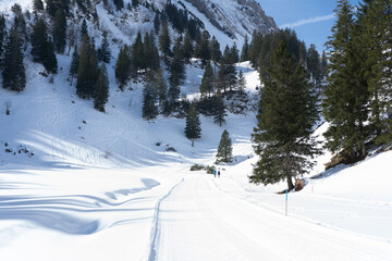 Wide pistes, huge halfpipes, endless deep snow – all within quick and easy reach. Switzerland is...
