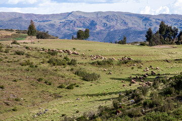 Beautiful view of the Puka Pukara Inca Archaeological Complex with its stone walls in Cusco, Peru