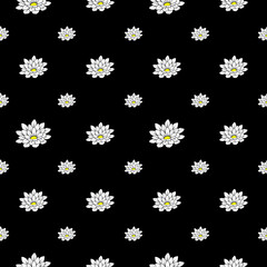 Floral seamless pattern daisy flowers on black background