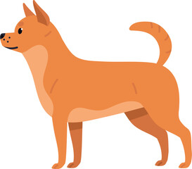 Cute Chihuahua Dog Breed Illustration