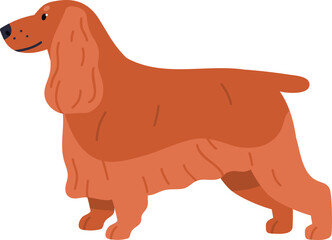 English Cocker Spaniel Dog Breed Illustration