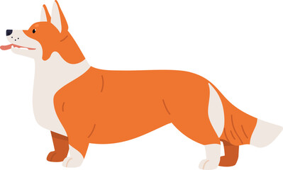 Pembroke Welsh Corgi Dog Breed Illustration