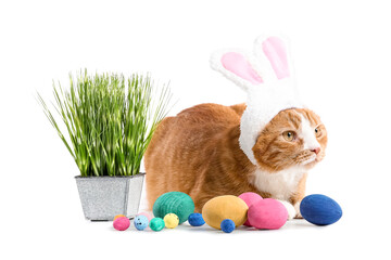 Cute cat in bunny ears, Easter eggs and pot with grass on white background