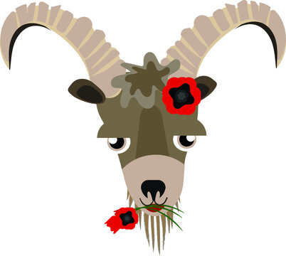 Vector illustration of a bezoar goat with a flower in the mouth