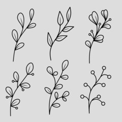 Floral Line Art Collection – Hand Drawn Botanical Elements
